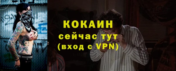 дживик Майский
