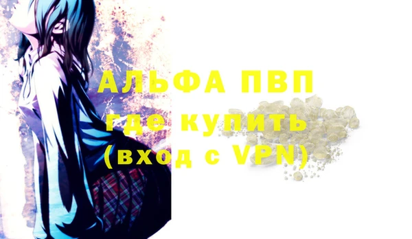 ПСИЛОЦИБИНОВЫЕ ГРИБЫ Горняк