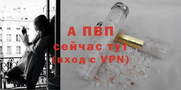дживик Майский