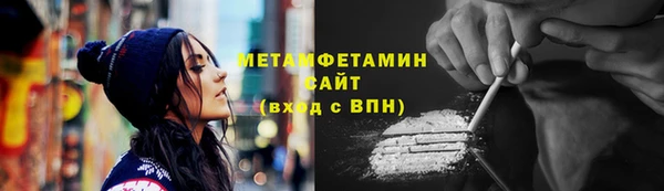 ПСИЛОЦИБИНОВЫЕ ГРИБЫ Горняк