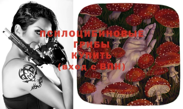 дживик Майский