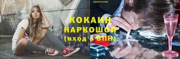 дживик Майский
