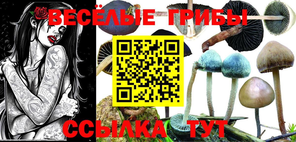Дивногорск  Галлюциногенные грибы мухоморы  Вход с VPN 